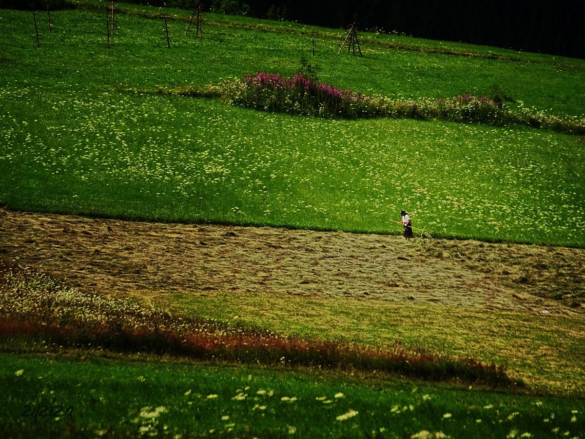 human work in the world