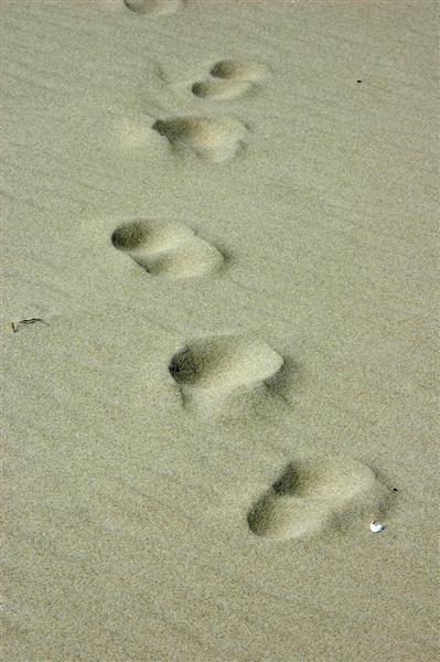 Footprints