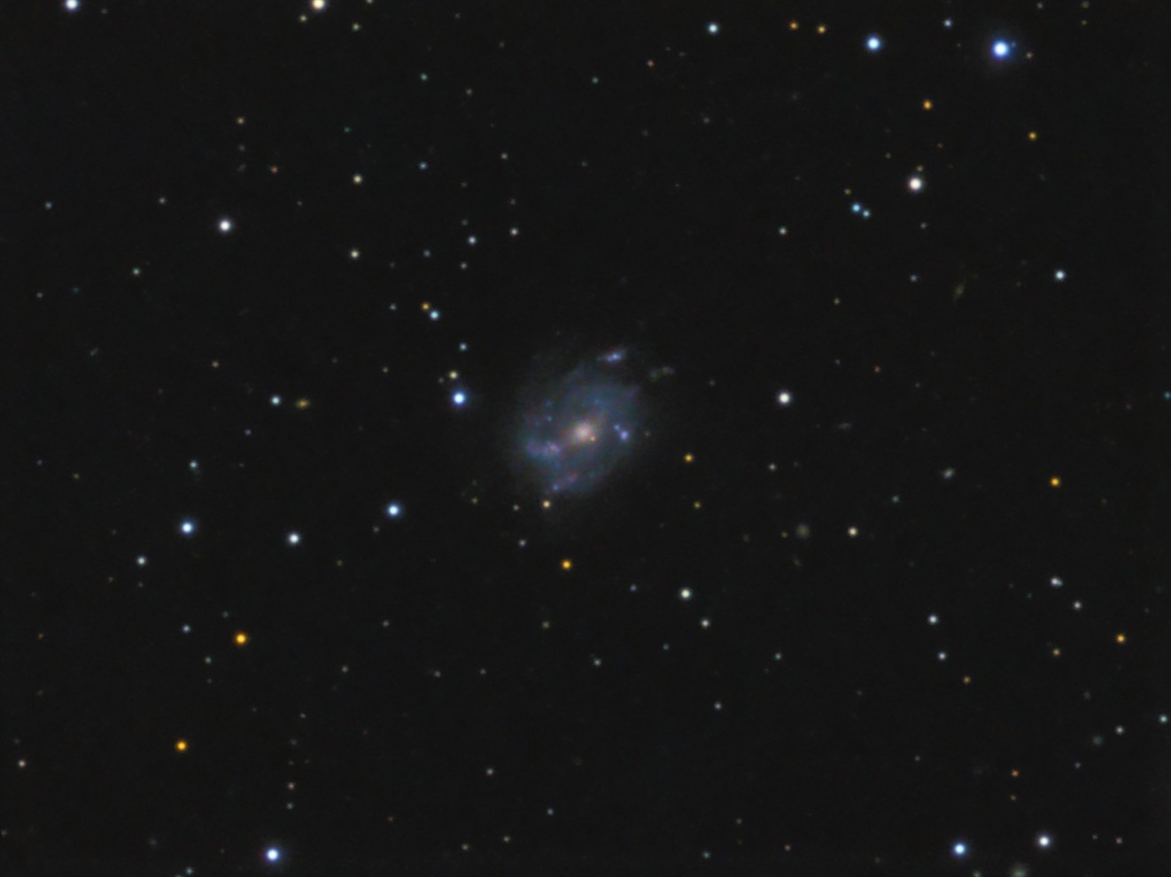 UGC 10445