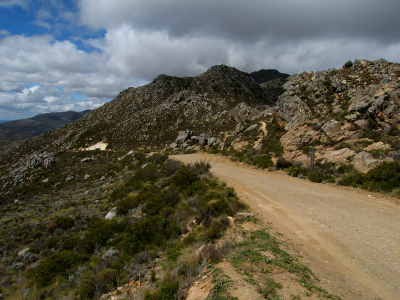Rockjumper Country III: Swartberg-Pass, South Africa