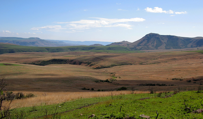 Lark Country: Wakkerstroom, South Africa