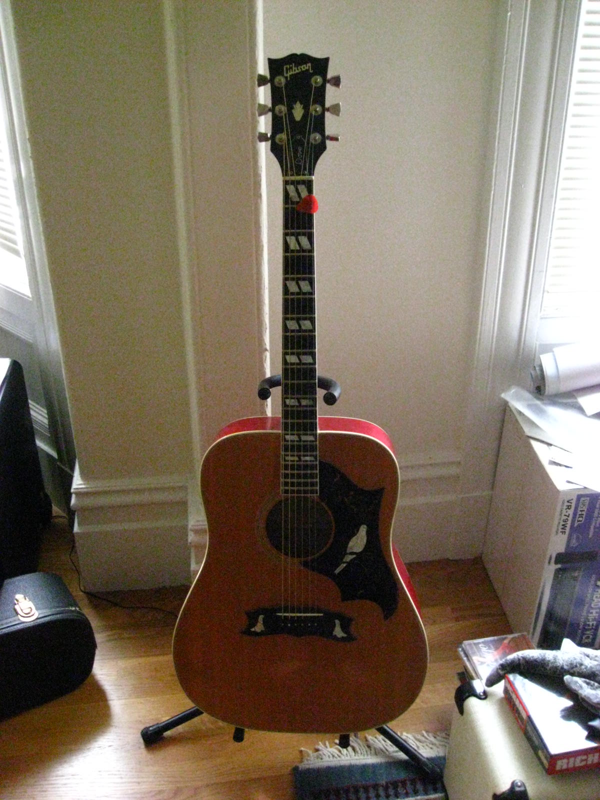 1976 Gibson Dove -  full front view
