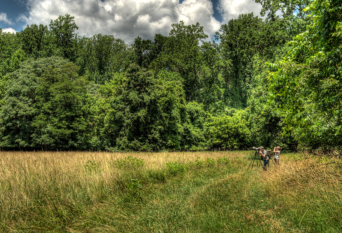 _DSC8516s1200.jpg