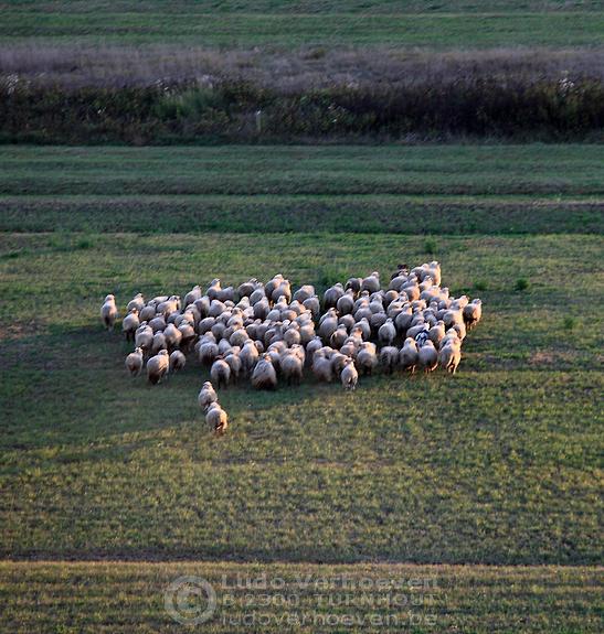 Evening Flight - 2.10.2011