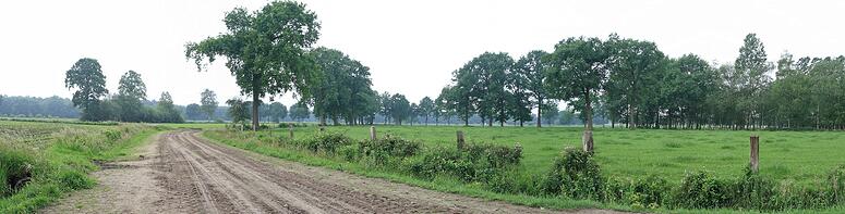Natuurrerservaat Winkelsbroek-De Dongen