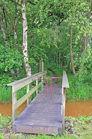 Natuurrerservaat Winkelsbroek-De Dongen