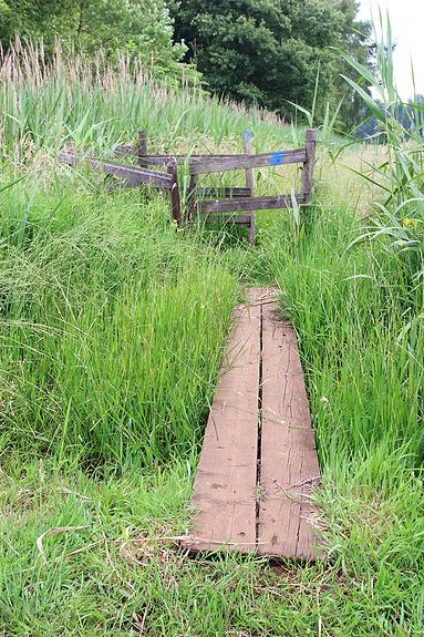 Natuurrerservaat Winkelsbroek-De Dongen