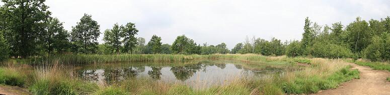 Natuurrerservaat Winkelsbroek-De Dongen