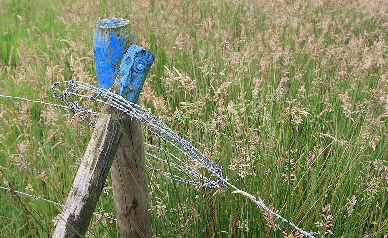 Natuurrerservaat Winkelsbroek-De Dongen