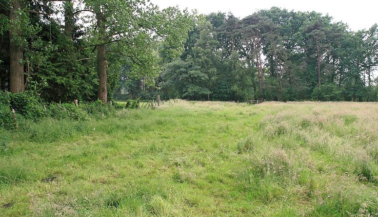 Natuurrerservaat Winkelsbroek-De Dongen