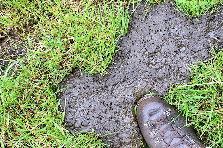 Natuurrerservaat Winkelsbroek-De Dongen