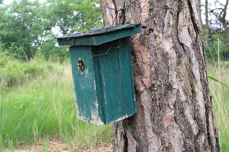 Natuurrerservaat Winkelsbroek-De Dongen