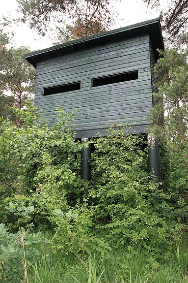 Natuurrerservaat Winkelsbroek-De Dongen