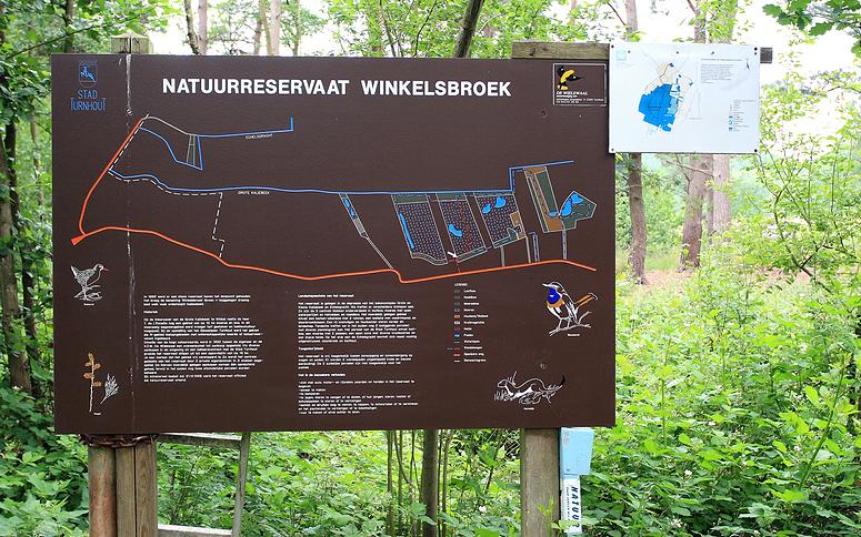 Natuurrerservaat Winkelsbroek-De Dongen