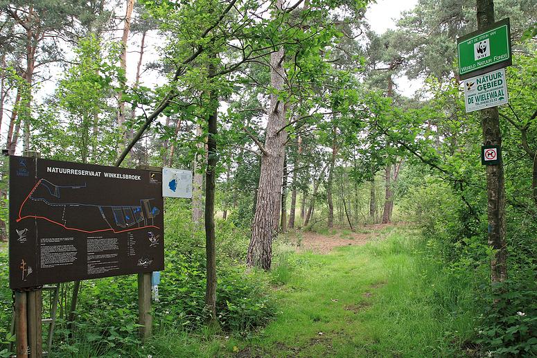 Natuurrerservaat Winkelsbroek-De Dongen