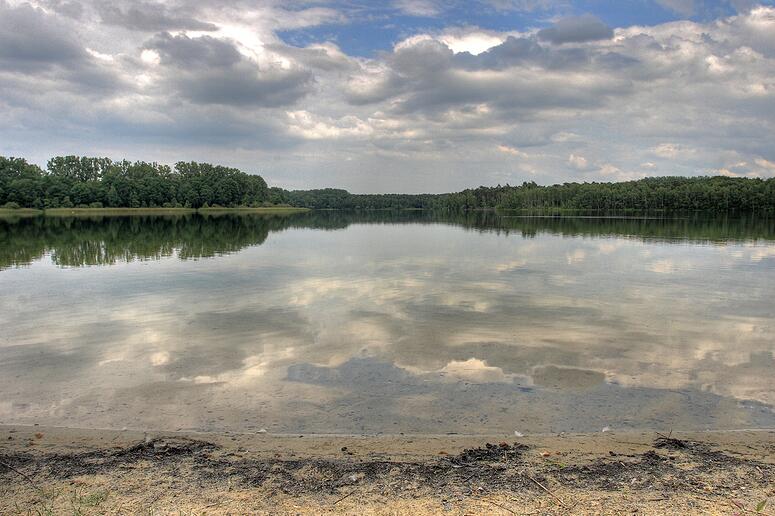 Turnhout (Belgium) - Natuurgebied 'De Melle'