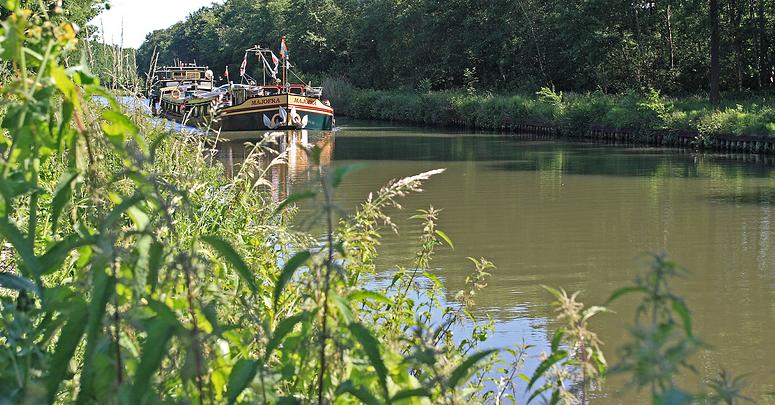 Doolhofwandeling Turnhout