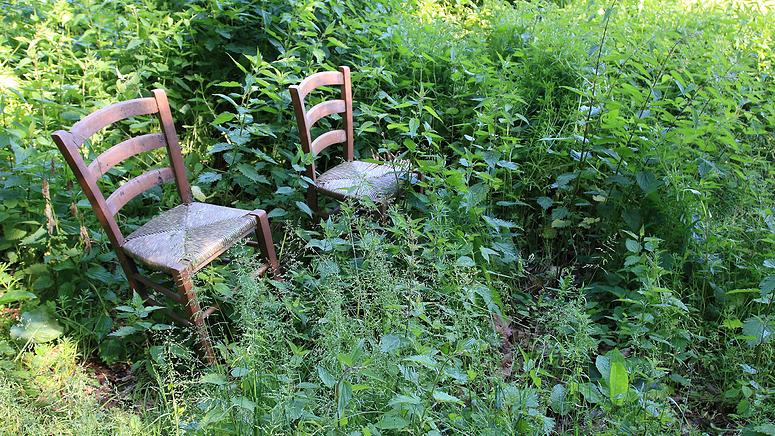 Doolhofwandeling Turnhout