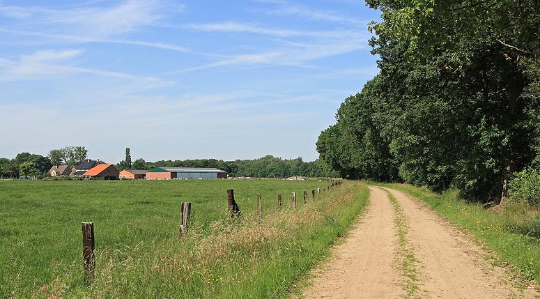 Doolhofwandeling Turnhout