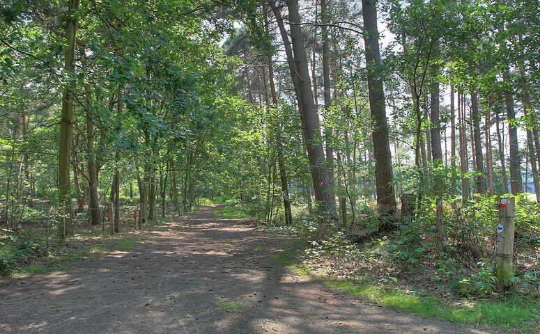 Looypad wandeling (Turnhout/Vosselaar)