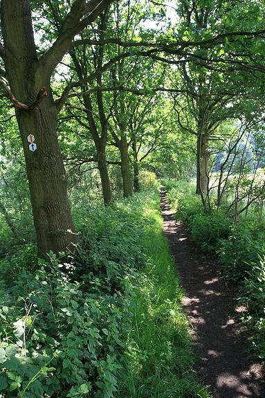 Looypad wandeling (Turnhout/Vosselaar)