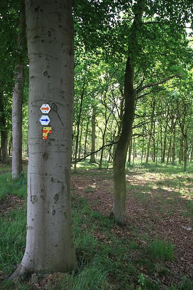 Looypad wandeling (Turnhout/Vosselaar)