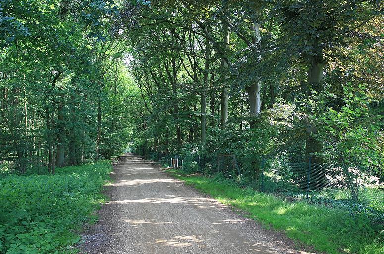 Looypad wandeling (Turnhout/Vosselaar)