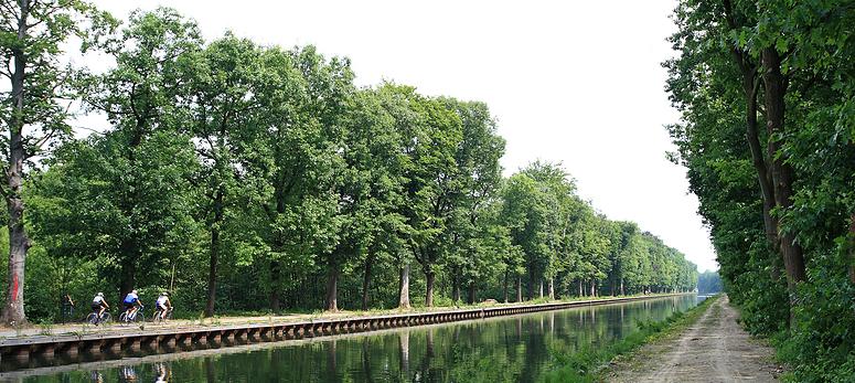 Looypad wandeling (Turnhout/Vosselaar)