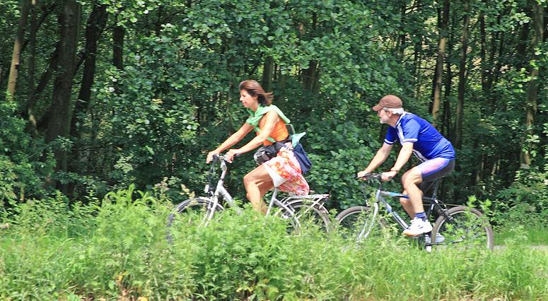 Looypad wandeling (Turnhout/Vosselaar)