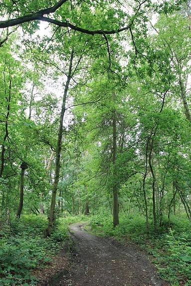 Raadsherenpark Turnhout