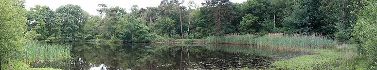 Raadsherenpark Turnhout