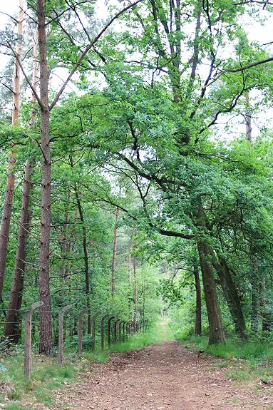 Raadsherenpark Turnhout