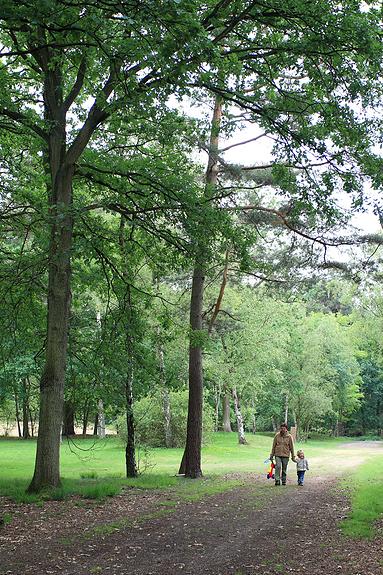 Raadsherenpark Turnhout