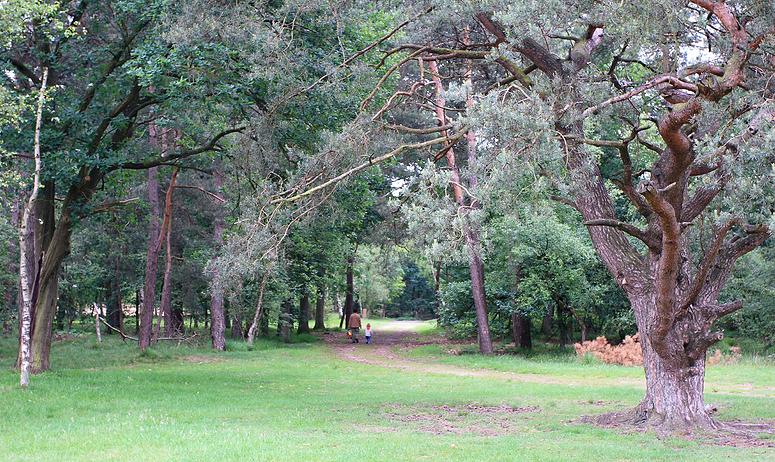 Raadsherenpark Turnhout
