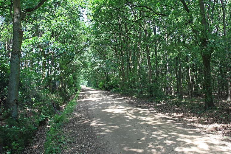 Dombergheide Wandeling Turnhout