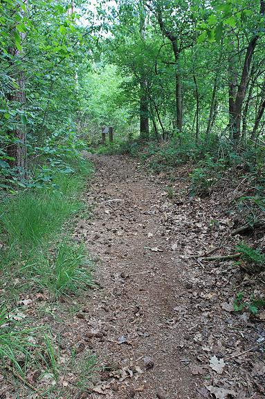 Dombergheide Wandeling Turnhout