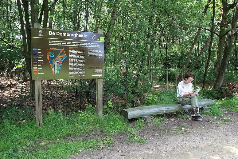Dombergheide Wandeling Turnhout
