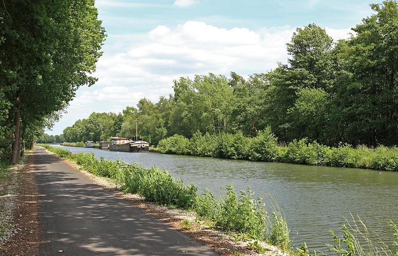 Dombergheide Wandeling Turnhout