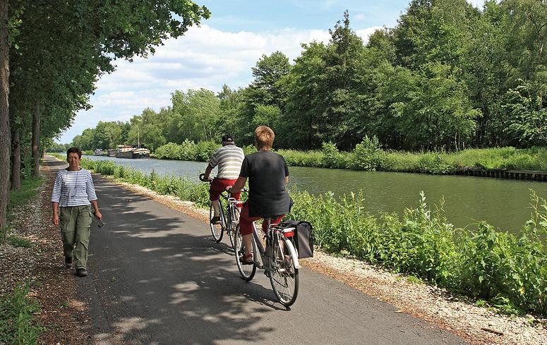 Dombergheide Wandeling Turnhout