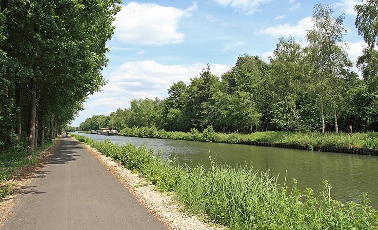 Dombergheide Wandeling Turnhout