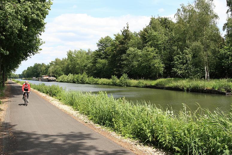 Dombergheide Wandeling Turnhout