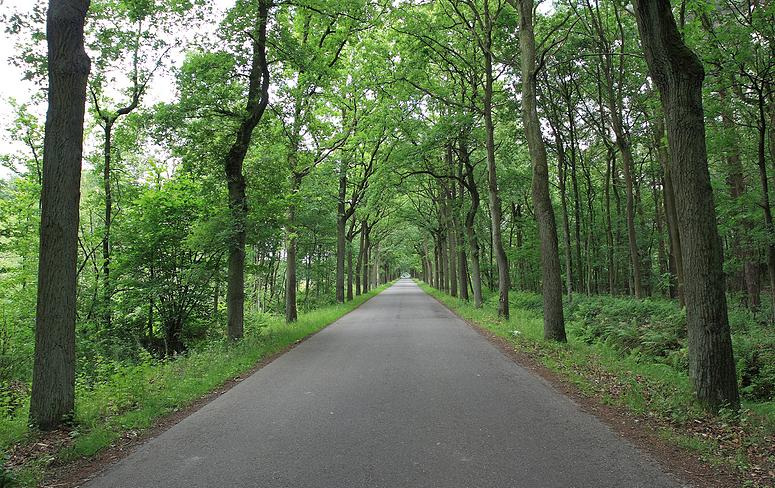 Kampheide wandeling Turnhout