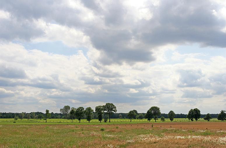 Kampheide wandeling Turnhout