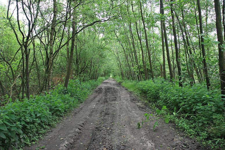 Kampheide wandeling Turnhout