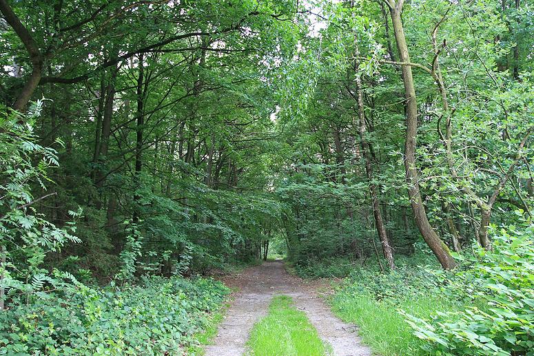 Kampheide wandeling Turnhout