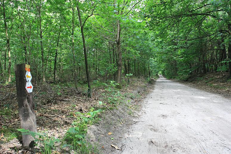 Kampheide wandeling Turnhout