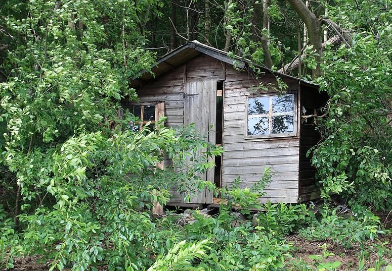 Kampheide wandeling Turnhout