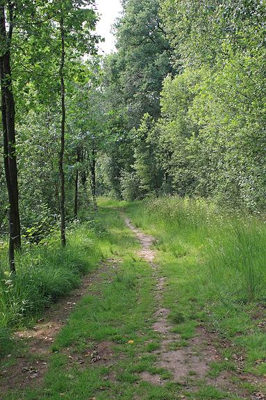 Turnhout (Belgium) - Natuurgebied De Melle