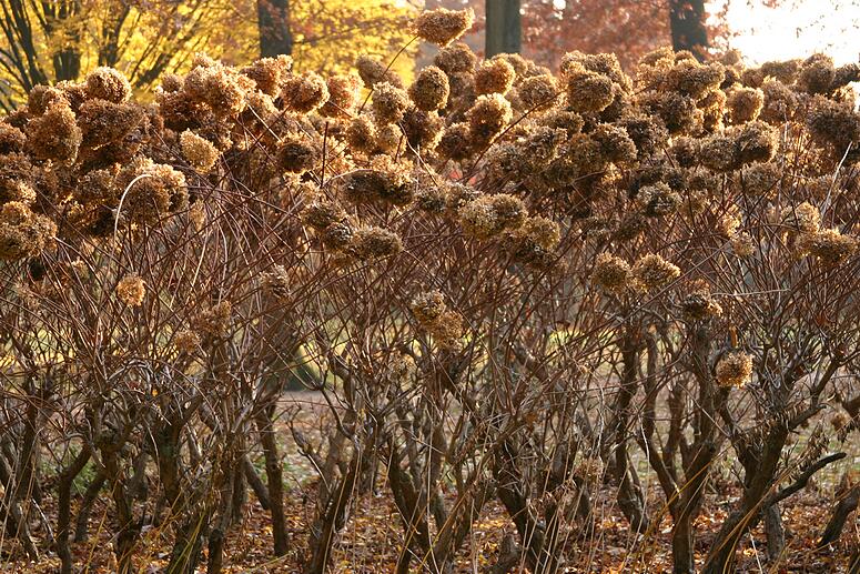 Stadspark Turnhout