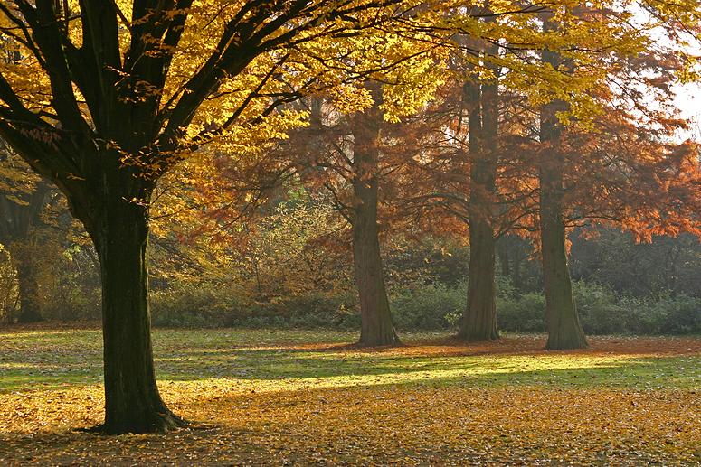 Stadspark Turnhout